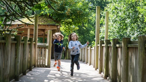 Two children running down the bridge from the treehouse in the Crow Wood play area at Lyme Park, Cheshire